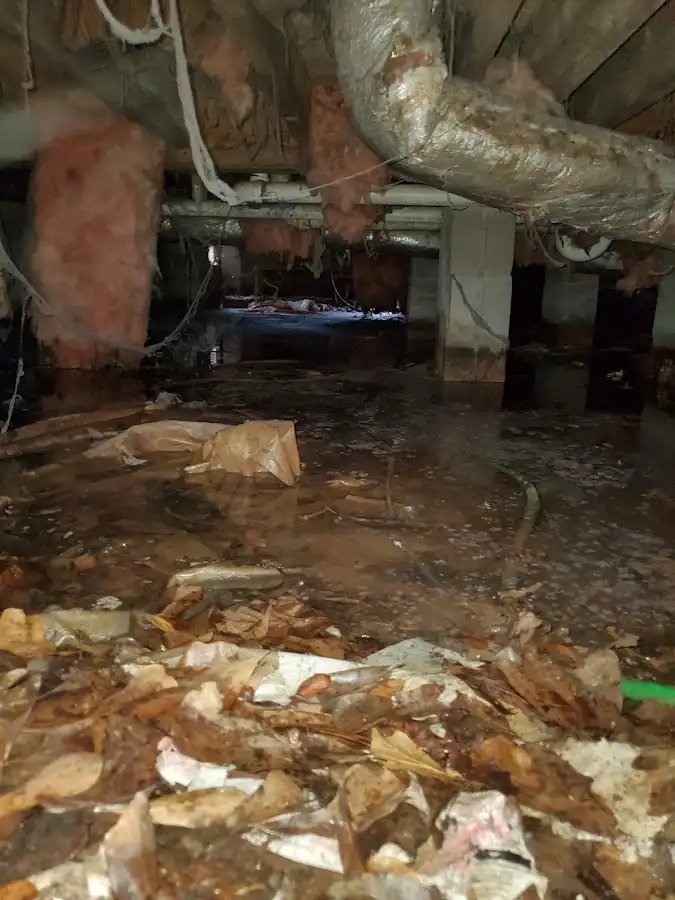 Crawl space flood assessment for Leak Detection & Repair in Evans